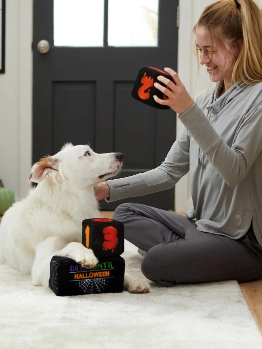 Frisco Halloween Countdown Plush Blocks -Dog Toy